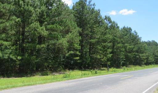 Photo of REDUCED!  155 Acres of Golf Course and Development Land For Sale in Horry County SC!