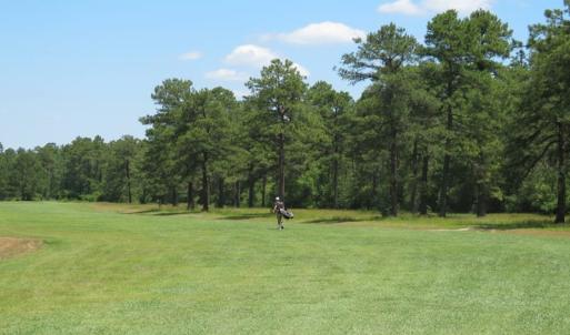 Photo of REDUCED!  155 Acres of Golf Course and Development Land For Sale in Horry County SC!