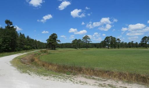 Photo of REDUCED!  155 Acres of Golf Course and Development Land For Sale in Horry County SC!