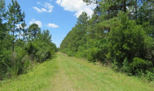 Photo of REDUCED!  155 Acres of Golf Course and Development Land For Sale in Horry County SC!