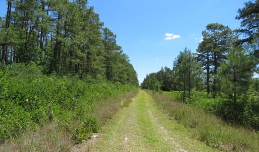Photo of REDUCED!  155 Acres of Golf Course and Development Land For Sale in Horry County SC!