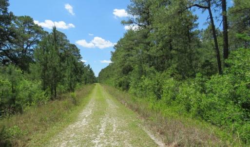 Photo of REDUCED!  155 Acres of Golf Course and Development Land For Sale in Horry County SC!