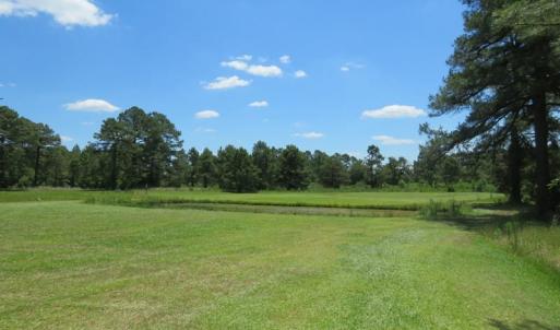 Photo of REDUCED!  155 Acres of Golf Course and Development Land For Sale in Horry County SC!