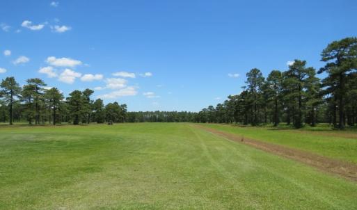 Photo of REDUCED!  155 Acres of Golf Course and Development Land For Sale in Horry County SC!