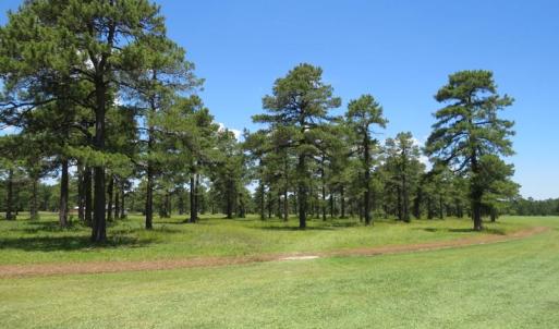 Photo of REDUCED!  155 Acres of Golf Course and Development Land For Sale in Horry County SC!