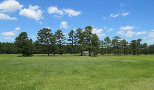 Photo of REDUCED!  155 Acres of Golf Course and Development Land For Sale in Horry County SC!