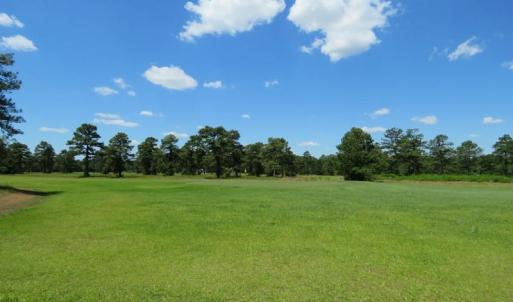Photo of REDUCED!  155 Acres of Golf Course and Development Land For Sale in Horry County SC!