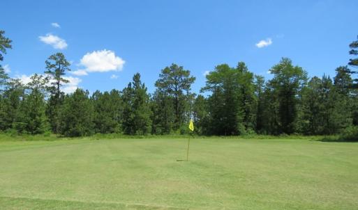 Photo of REDUCED!  155 Acres of Golf Course and Development Land For Sale in Horry County SC!