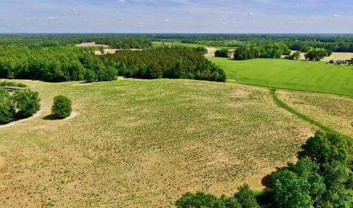 Photo of SOLD!! 31.36 Acres of Farm and Investment Land For Sale in Nash County NC!