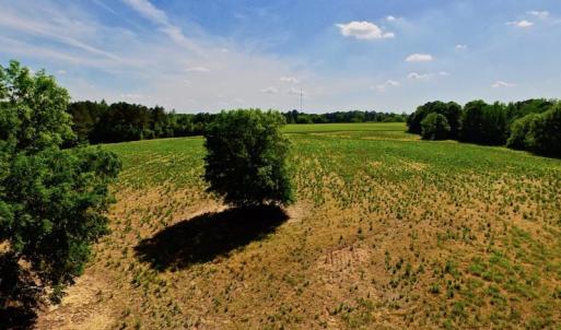 Photo of SOLD!! 31.36 Acres of Farm and Investment Land For Sale in Nash County NC!