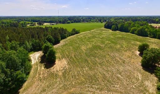 Photo of SOLD!! 31.36 Acres of Farm and Investment Land For Sale in Nash County NC!