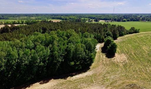 Photo of SOLD!! 31.36 Acres of Farm and Investment Land For Sale in Nash County NC!