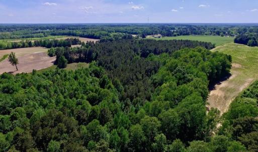 Photo of SOLD!! 31.36 Acres of Farm and Investment Land For Sale in Nash County NC!