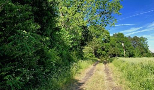 Photo of SOLD!! 31.36 Acres of Farm and Investment Land For Sale in Nash County NC!