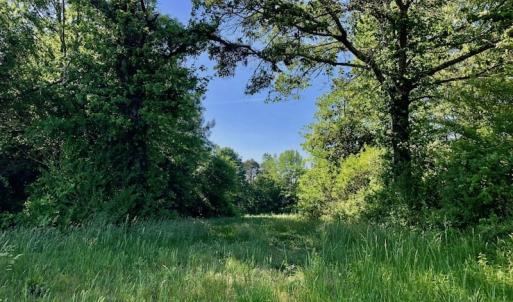 Photo of SOLD!! 31.36 Acres of Farm and Investment Land For Sale in Nash County NC!