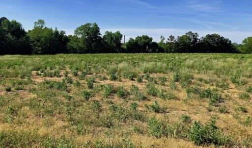 Photo of SOLD!! 31.36 Acres of Farm and Investment Land For Sale in Nash County NC!