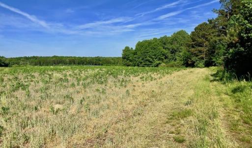 Photo of SOLD!! 31.36 Acres of Farm and Investment Land For Sale in Nash County NC!