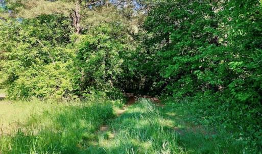 Photo of SOLD!! 31.36 Acres of Farm and Investment Land For Sale in Nash County NC!