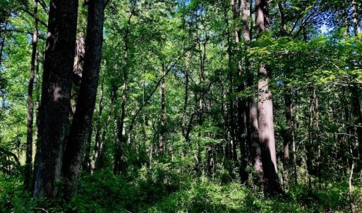 Photo of SOLD!! 31.36 Acres of Farm and Investment Land For Sale in Nash County NC!