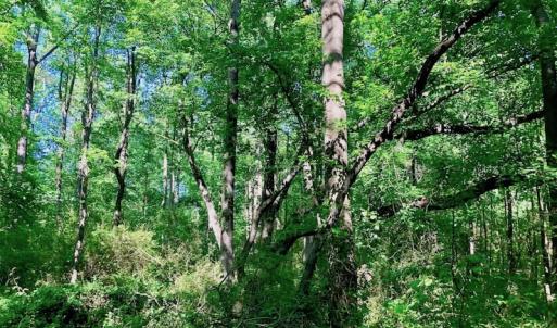 Photo of SOLD!! 31.36 Acres of Farm and Investment Land For Sale in Nash County NC!