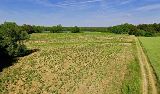 Photo of SOLD!! 31.36 Acres of Farm and Investment Land For Sale in Nash County NC!