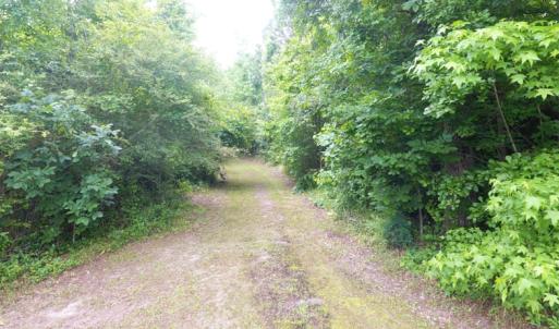 Photo of UNDER CONTRACT!  47.77 Acres of Residential Farm and Hunting Land  For Sale in Robeson County NC!