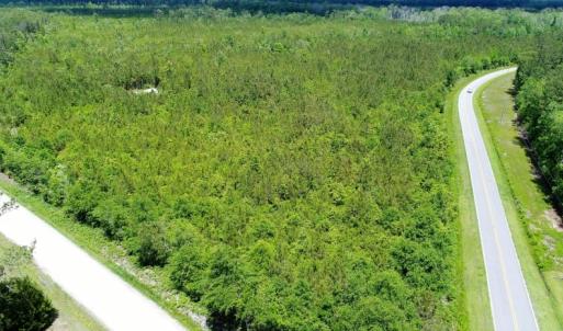 Photo of UNDER CONTRACT!  50 Acres of Hunting Land For Sale In Pamlico County NC!