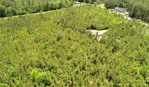 Photo of UNDER CONTRACT!  50 Acres of Hunting Land For Sale In Pamlico County NC!