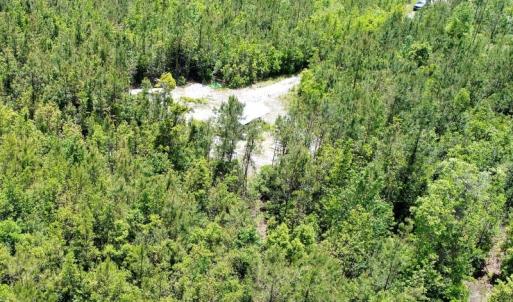 Photo of UNDER CONTRACT!  50 Acres of Hunting Land For Sale In Pamlico County NC!