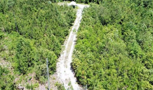 Photo of UNDER CONTRACT!  50 Acres of Hunting Land For Sale In Pamlico County NC!
