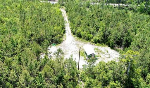 Photo of UNDER CONTRACT!  50 Acres of Hunting Land For Sale In Pamlico County NC!