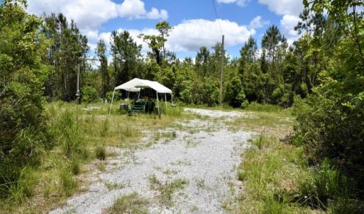 Photo of UNDER CONTRACT!  50 Acres of Hunting Land For Sale In Pamlico County NC!