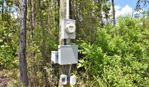 Photo of UNDER CONTRACT!  50 Acres of Hunting Land For Sale In Pamlico County NC!