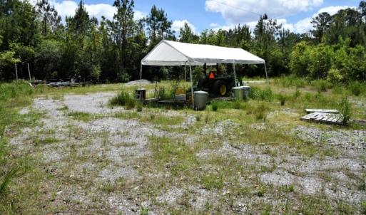 Photo of UNDER CONTRACT!  50 Acres of Hunting Land For Sale In Pamlico County NC!