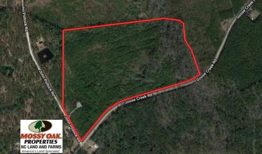 Photo of UNDER CONTRACT!  50 Acres of Hunting Land For Sale In Pamlico County NC!