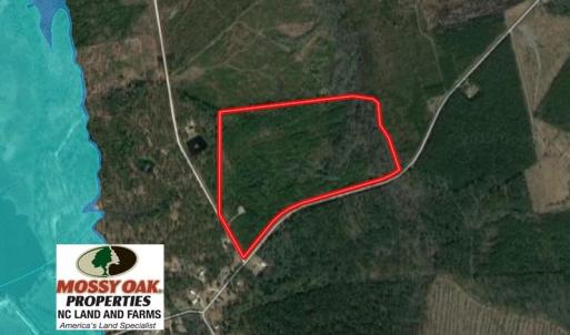 Photo of UNDER CONTRACT!  50 Acres of Hunting Land For Sale In Pamlico County NC!