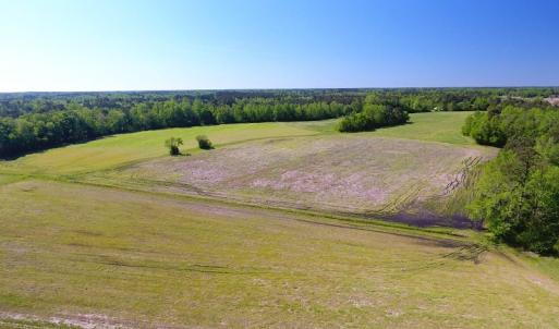 Photo of UNDER CONTRACT!  8 Acres of Pasture and Hunting Land with Home For Sale in Robeson County NC!