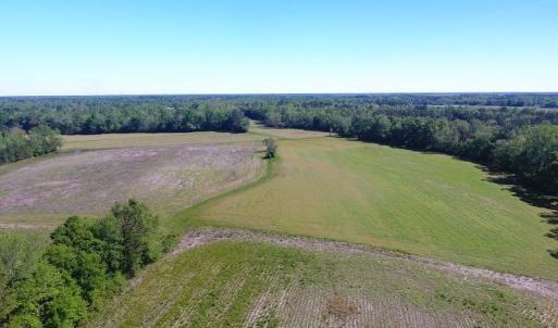 Photo of UNDER CONTRACT!  8 Acres of Pasture and Hunting Land with Home For Sale in Robeson County NC!