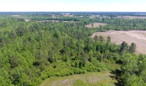Photo of UNDER CONTRACT!  8 Acres of Pasture and Hunting Land with Home For Sale in Robeson County NC!