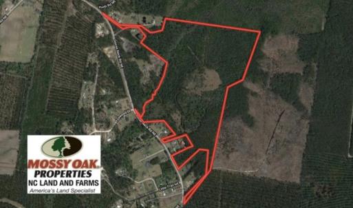 Photo of UNDER CONTRACT!  81 Acres of Hunting and Timber Land For Sale in Brunswick County NC!