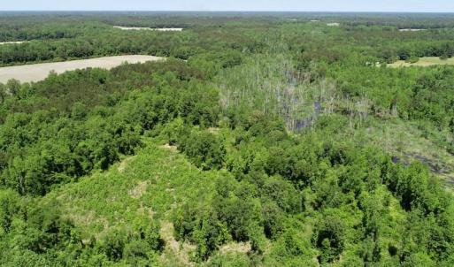 Photo of UNDER CONTRACT! 23.12 Acres of Land and Home For Sale in Pitt County NC!