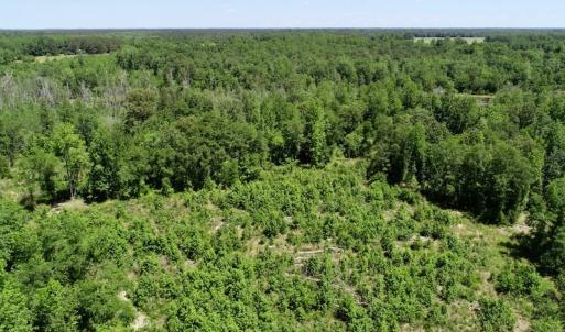 Photo of UNDER CONTRACT! 23.12 Acres of Land and Home For Sale in Pitt County NC!