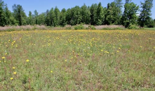 Photo of UNDER CONTRACT! 23.12 Acres of Land and Home For Sale in Pitt County NC!
