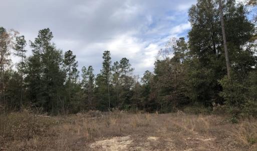 Photo of UNDER CONTRACT!  31 Acres of Hunting Land For Sale in Cumberland County NC!