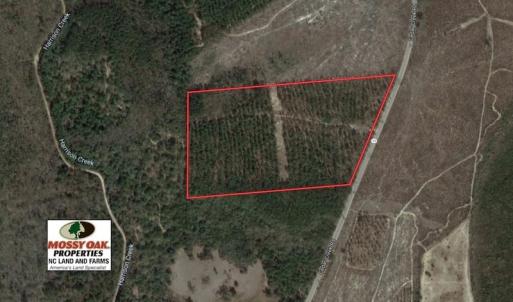Photo of UNDER CONTRACT!  31 Acres of Hunting Land For Sale in Cumberland County NC!
