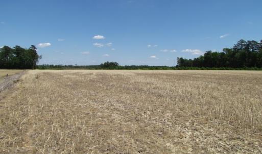 Photo of UNDER CONTRACT!  13.3 Acres of Farm Timber and Hunting Land For Sale in Sussex County VA!