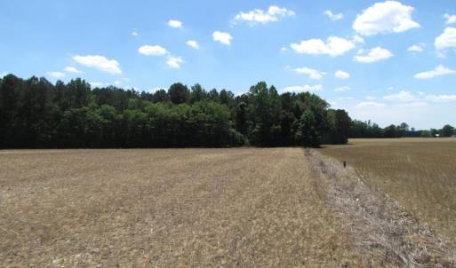 Photo of UNDER CONTRACT!  13.3 Acres of Farm Timber and Hunting Land For Sale in Sussex County VA!