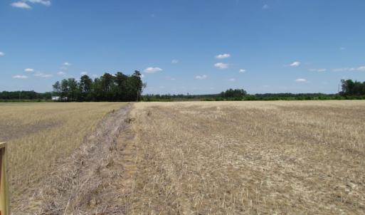 Photo of UNDER CONTRACT!  13.3 Acres of Farm Timber and Hunting Land For Sale in Sussex County VA!