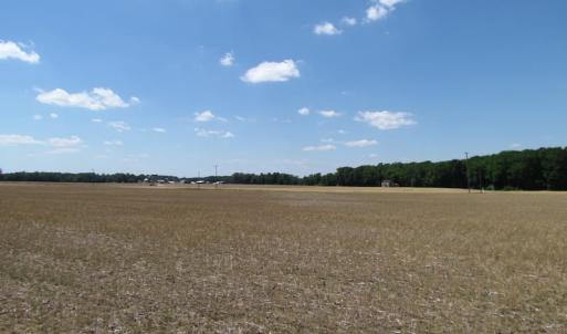 Photo of UNDER CONTRACT!  13.3 Acres of Farm Timber and Hunting Land For Sale in Sussex County VA!