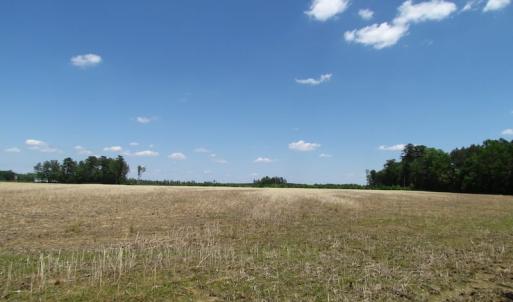 Photo of UNDER CONTRACT!  13.3 Acres of Farm Timber and Hunting Land For Sale in Sussex County VA!